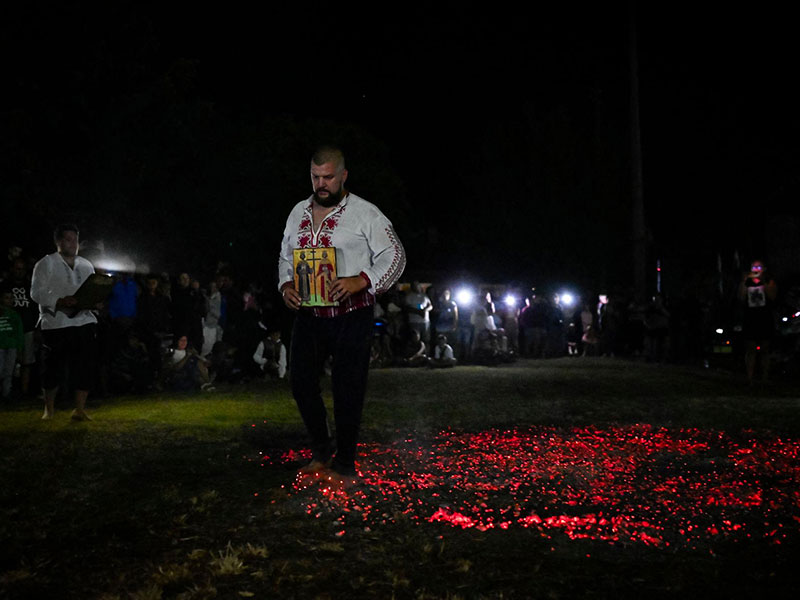 وليمة في الغابة – أمسية ترفيهية