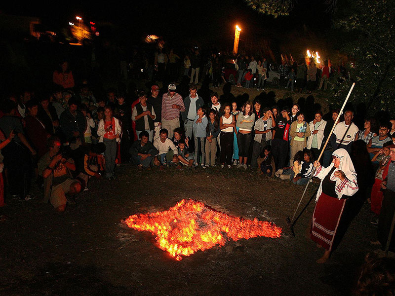 وليمة في الغابة – أمسية ترفيهية