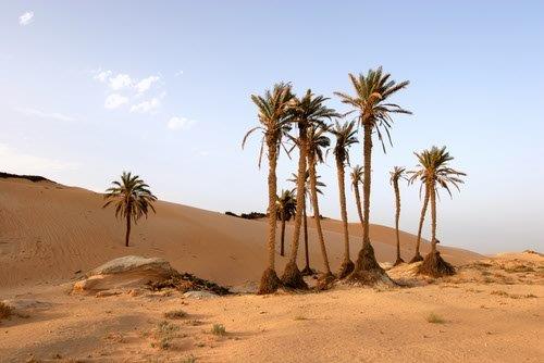 Cairo and Siwa Oasis Unique Experience 