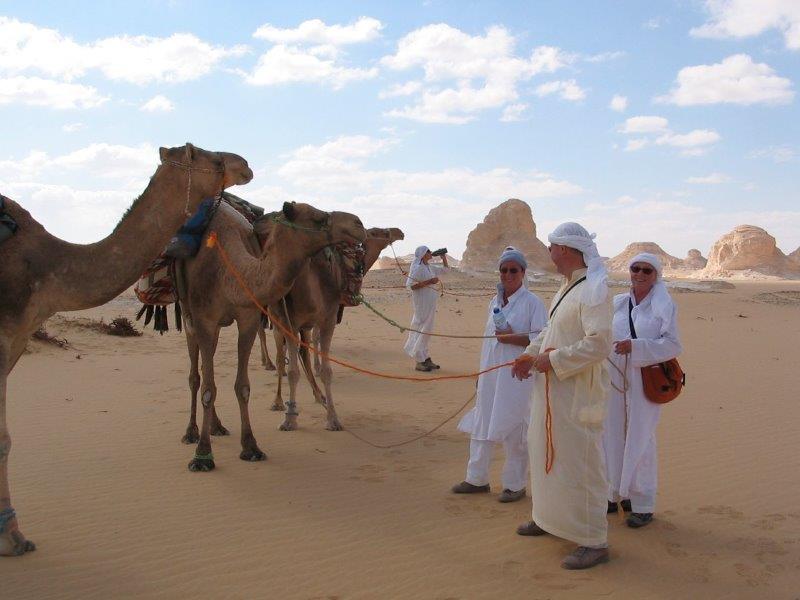 Sahara Desert & Egyptian Oasis ( Dakhla, Kharga, Farafra & White Desert)