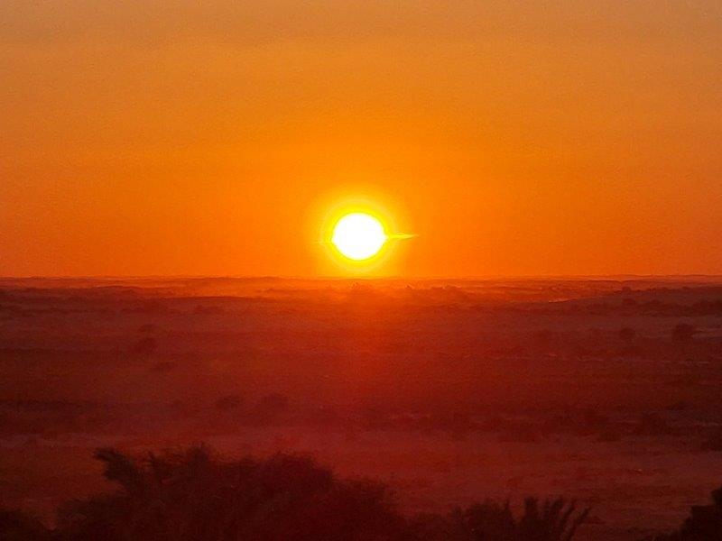 Sahara Desert & Egyptian Oasis ( Dakhla, Kharga, Farafra & White Desert)