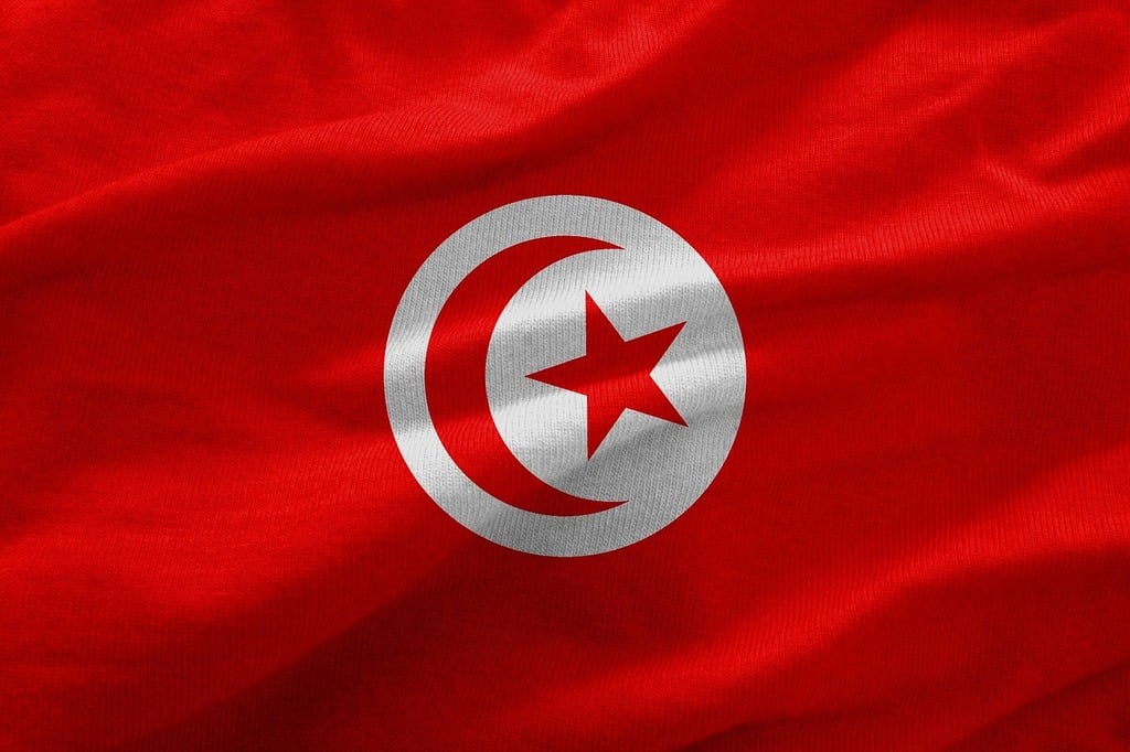 تونس